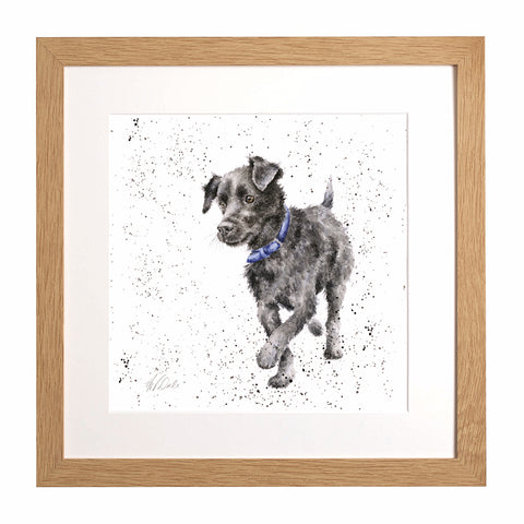 Wrendale - A Dog's Life - Framed Collectors' Prints - Collection 2