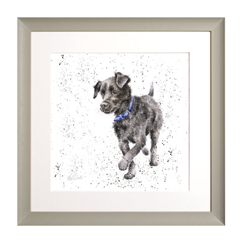 Wrendale - A Dog's Life - Framed Collectors' Prints - Collection 2