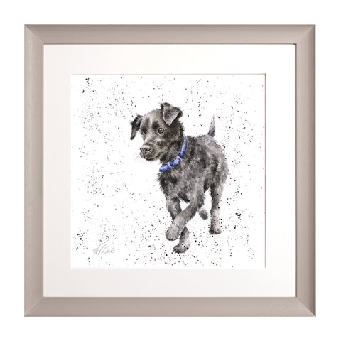 Wrendale - A Dog's Life - Framed Collectors' Prints - Collection 2
