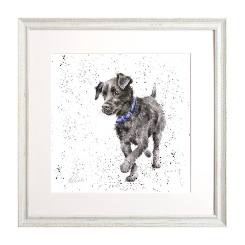 Wrendale - A Dog's Life - Framed Collectors' Prints - Collection 2