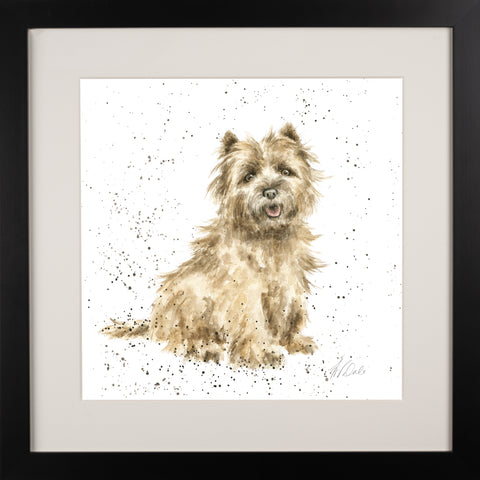 Wrendale - A Dog's Life - Framed Collectors' Prints - Collection 2