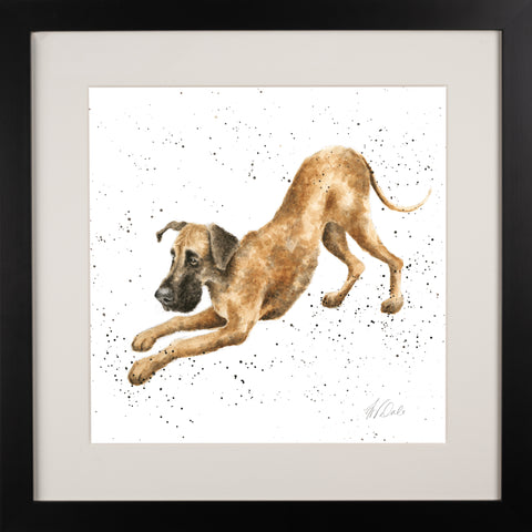 Wrendale - A Dog's Life - Framed Collectors' Prints - Collection 2