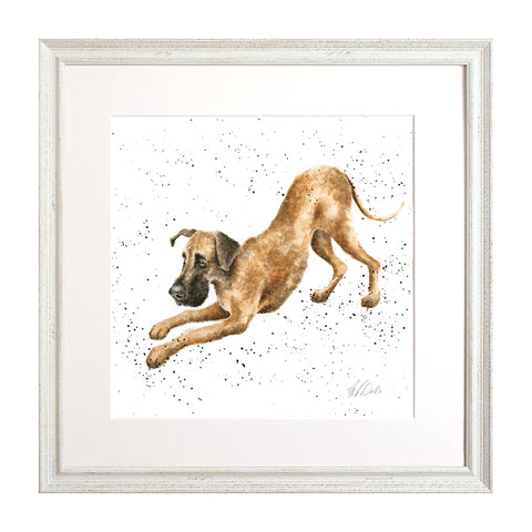 Wrendale - A Dog's Life - Framed Collectors' Prints - Collection 2
