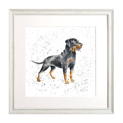 Wrendale - A Dog's Life - Framed Collectors' Prints - Collection 3