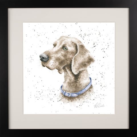 Wrendale - A Dog's Life - Framed Collectors' Prints - Collection 3