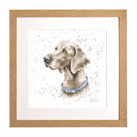 Wrendale - A Dog's Life - Framed Collectors' Prints - Collection 3