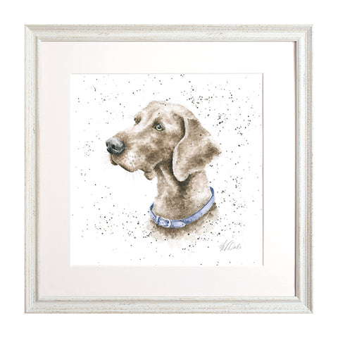 Wrendale - A Dog's Life - Framed Collectors' Prints - Collection 3
