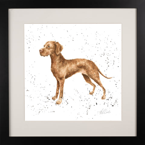 Wrendale - A Dog's Life - Framed Collectors' Prints - Collection 3