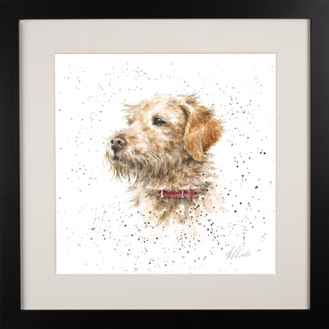 Wrendale - A Dog's Life - Framed Collectors' Prints - Collection 3