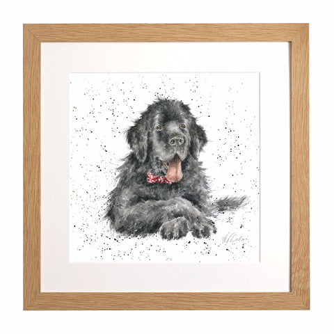 Wrendale - A Dog's Life - Framed Collectors' Prints - Collection 3