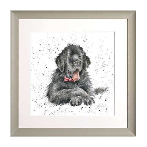 Wrendale - A Dog's Life - Framed Collectors' Prints - Collection 3
