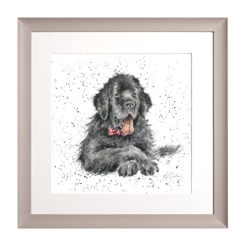 Wrendale - A Dog's Life - Framed Collectors' Prints - Collection 3