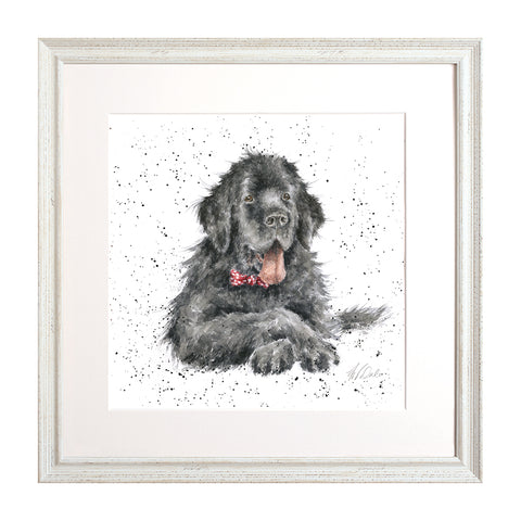 Wrendale - A Dog's Life - Framed Collectors' Prints - Collection 3