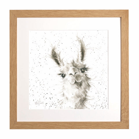 Wrendale - Framed Collectors' Prints - Zoology Collection