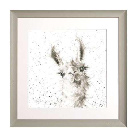 Wrendale - Framed Collectors' Prints - Zoology Collection