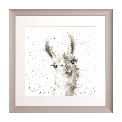 Wrendale - Framed Collectors' Prints - Zoology Collection