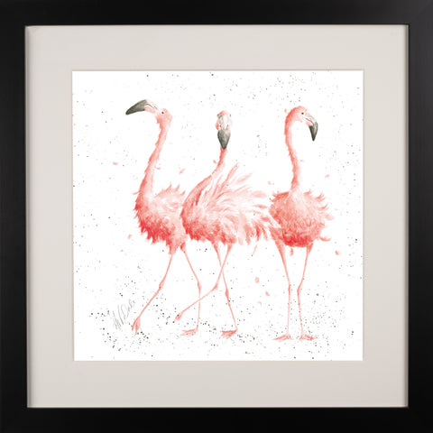 Wrendale - Framed Collectors' Prints - Zoology Collection