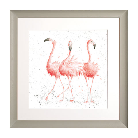 Wrendale - Framed Collectors' Prints - Zoology Collection