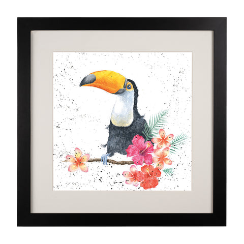 Wrendale - Framed Collectors' Prints - Zoology Collection