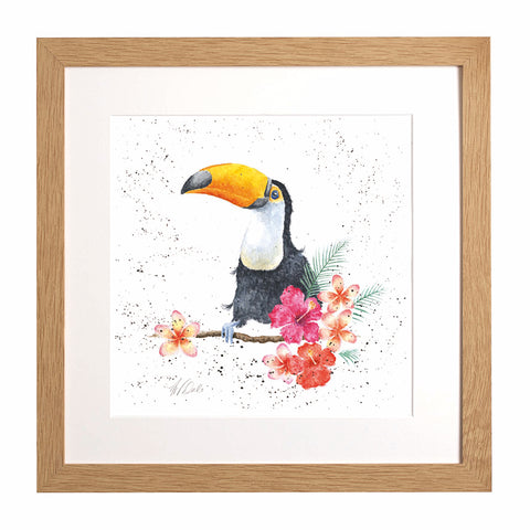 Wrendale - Framed Collectors' Prints - Zoology Collection