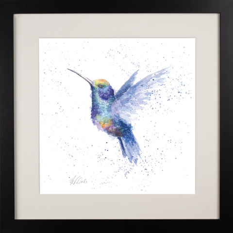 Wrendale - Framed Collectors' Prints - Zoology Collection