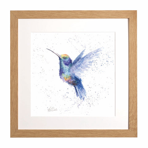 Wrendale - Framed Collectors' Prints - Zoology Collection