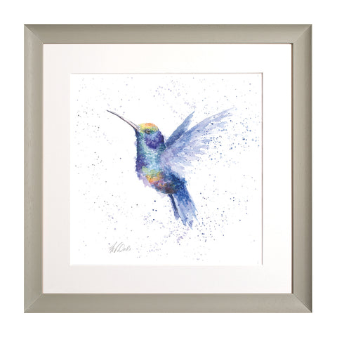 Wrendale - Framed Collectors' Prints - Zoology Collection