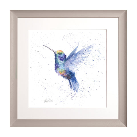 Wrendale - Framed Collectors' Prints - Zoology Collection