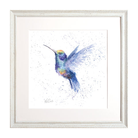 Wrendale - Framed Collectors' Prints - Zoology Collection