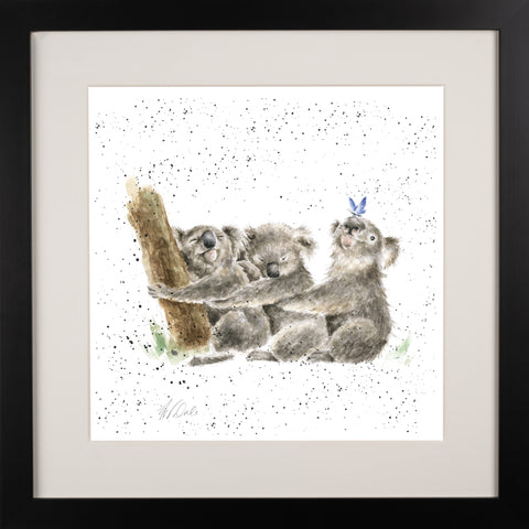 Wrendale - Framed Collectors' Prints - Zoology Collection