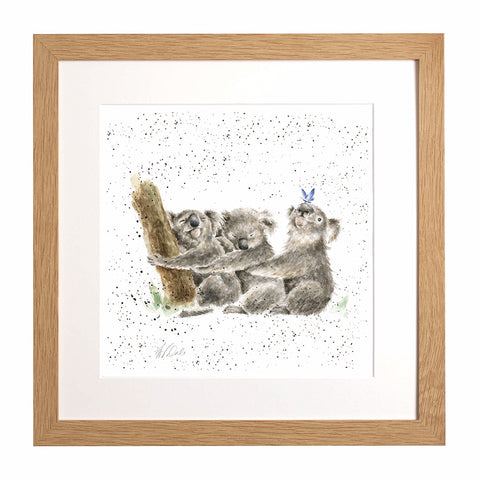 Wrendale - Framed Collectors' Prints - Zoology Collection