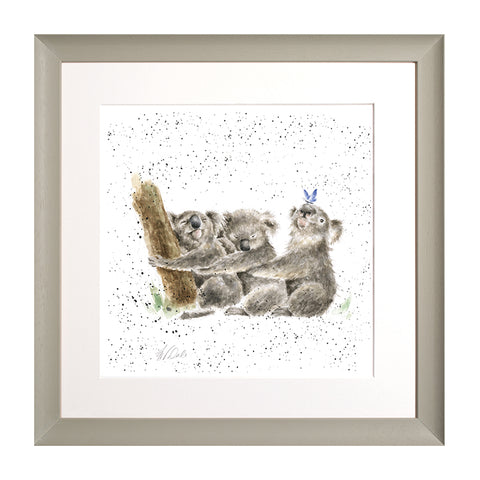 Wrendale - Framed Collectors' Prints - Zoology Collection