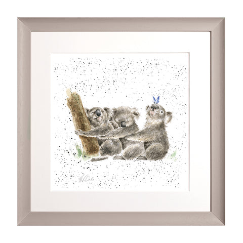 Wrendale - Framed Collectors' Prints - Zoology Collection