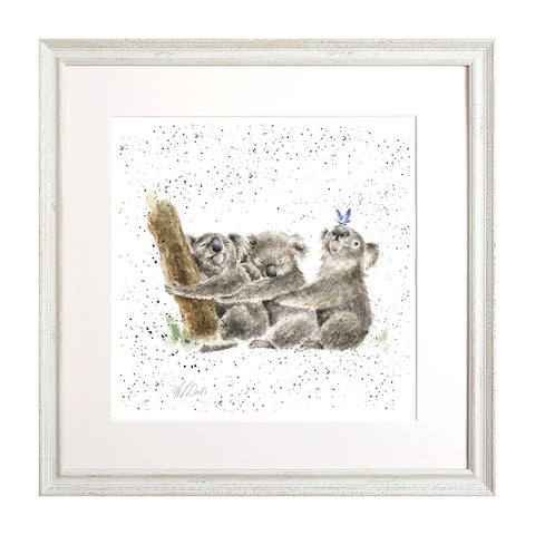 Wrendale - Framed Collectors' Prints - Zoology Collection