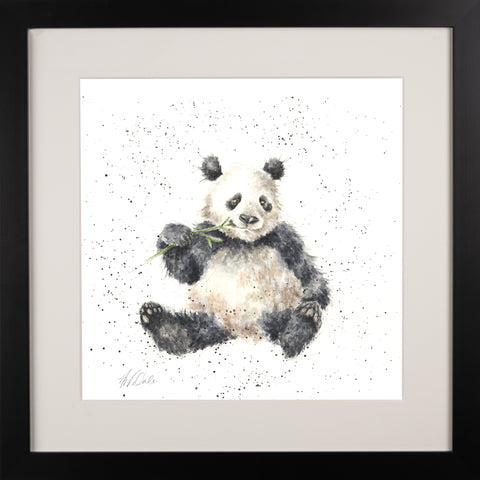 Wrendale - Framed Collectors' Prints - Zoology Collection