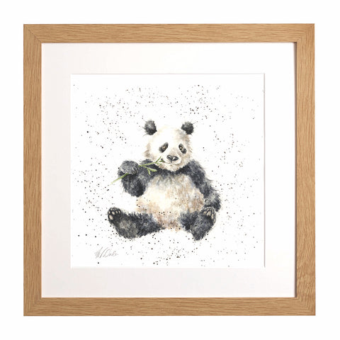 Wrendale - Framed Collectors' Prints - Zoology Collection