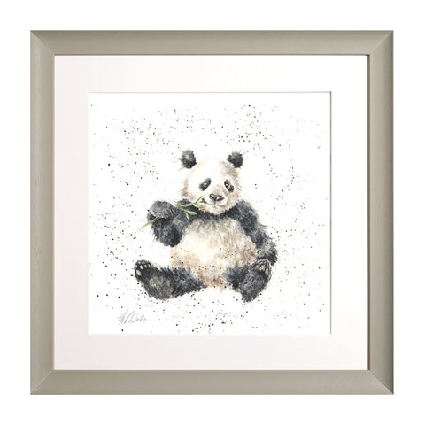 Wrendale - Framed Collectors' Prints - Zoology Collection