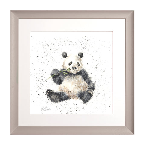 Wrendale - Framed Collectors' Prints - Zoology Collection