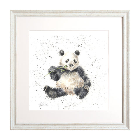 Wrendale - Framed Collectors' Prints - Zoology Collection