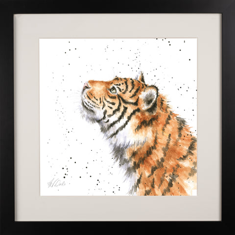 Wrendale - Framed Collectors' Prints - Zoology Collection