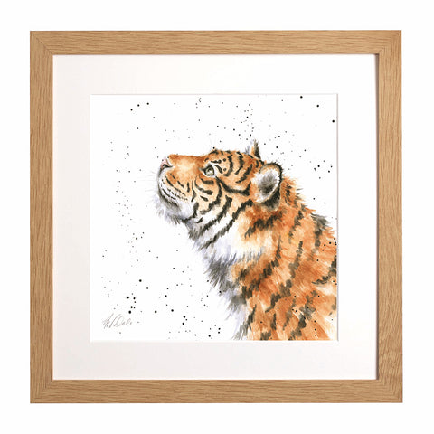 Wrendale - Framed Collectors' Prints - Zoology Collection