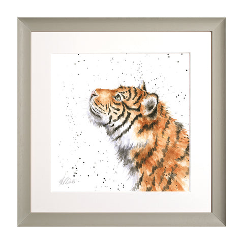 Wrendale - Framed Collectors' Prints - Zoology Collection