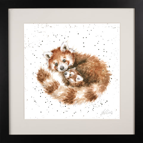 Wrendale - Framed Collectors' Prints - Zoology Collection