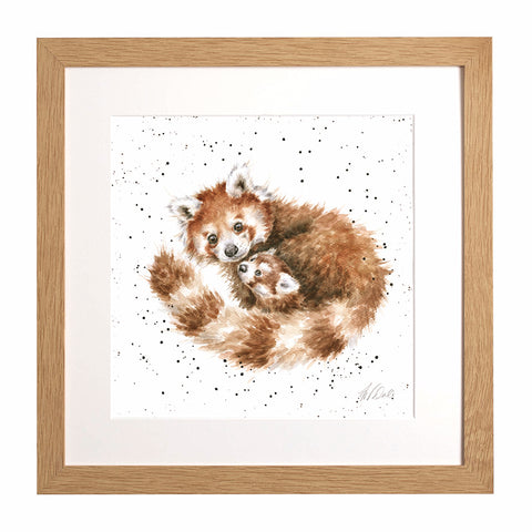 Wrendale - Framed Collectors' Prints - Zoology Collection