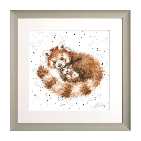 Wrendale - Framed Collectors' Prints - Zoology Collection