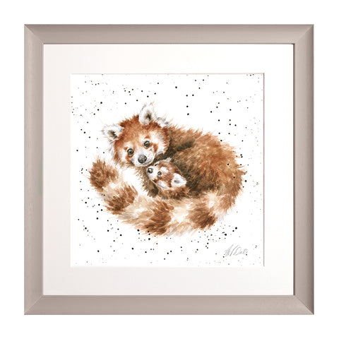 Wrendale - Framed Collectors' Prints - Zoology Collection