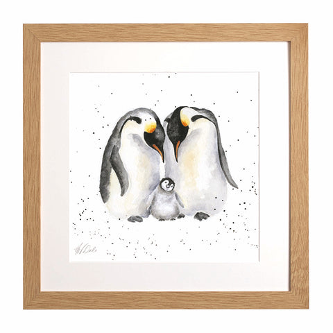 Wrendale - Framed Collectors' Prints - Zoology Collection