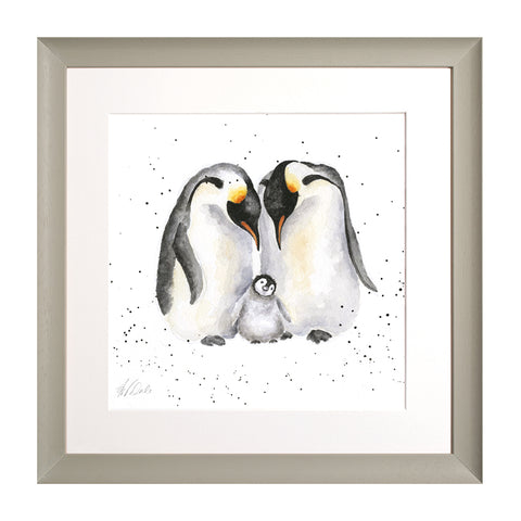 Wrendale - Framed Collectors' Prints - Zoology Collection