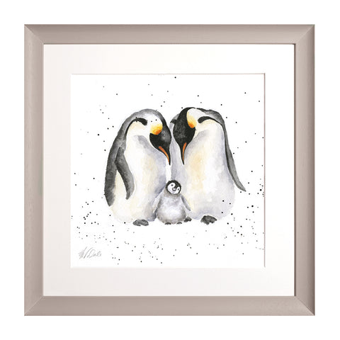 Wrendale - Framed Collectors' Prints - Zoology Collection