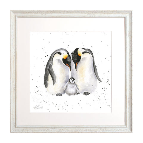 Wrendale - Framed Collectors' Prints - Zoology Collection